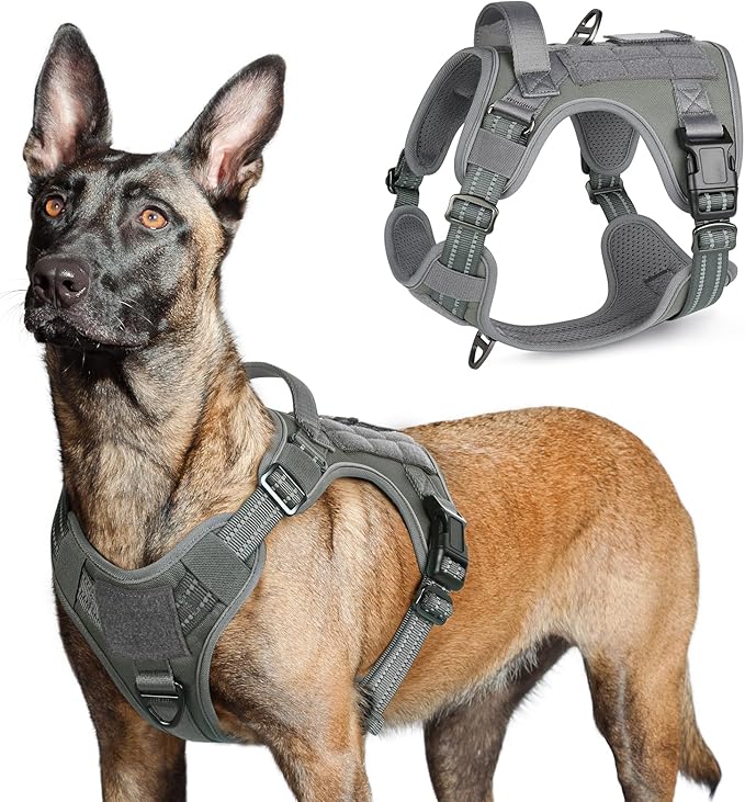 rabbitgoo Tactical Dog Harness for Large Dogs, No Pull Military Service Vest with Handle & Molle, Easy Control for Training Walking, Adjustable Reflective Straps, Dark Grey, L