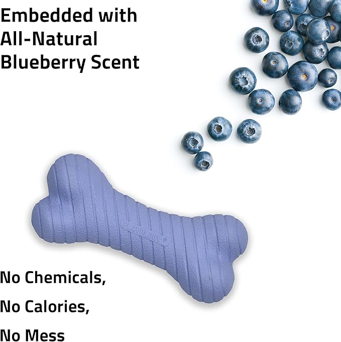 Playology Dog Toys | Dual Layer Bone Durable Chew Toy Bone for Dogs | Small Blueberry Scented Toy - Easy to Clean and Made from Non Toxic Materials
