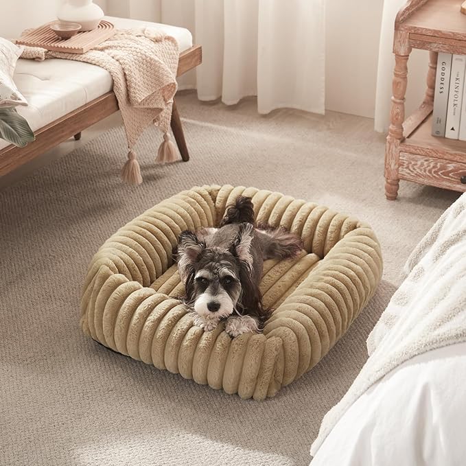 FURTIME Dog Bed for Small Medium Dog, Washable Orthopedic Pet Bed with Removable Cover, Rectangle Soft Calming Sleeping Puppy Bed Durable Pet Cuddler with Anti-Slip Bottom, Beige, M (25"x21"x7")