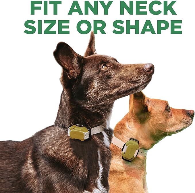 Dogtra CUE Gen 2 Tan – Customizable E-Collar for Dogs Training Collar with Remote – Easy, Safe, Beginner-Friendly Design – 99 Levels, Vibration, Boost, Waterproof, Rechargeable, 400-Yard Range