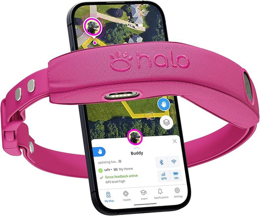 Halo Collar 4, GPS Wireless Dog Fence & Dog Training Collar with GPS Tracker, Subscription Required, Waterproof, Orchid, One Size