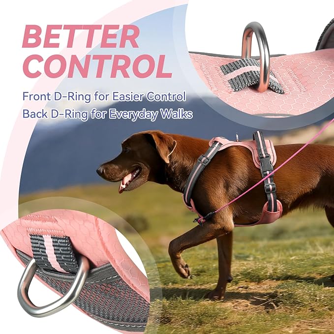 VIVAGLORY Dog Harness Easewalk No Pull Dog Harness with Handle & Front Back Clip for Training Lifting, Easy On Adjustable Padded No Pull for Pet & Puppy, M, Sakura Pink