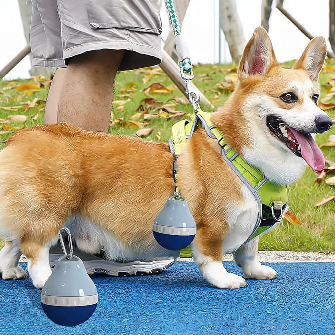 Dog Travel Water Bottle Detachable Bowl Leak Proof Portable ，Silicone Bottle Body，Collapsible and Suitable for Small Pets for Outdoor Walking, Hiking, Travel (Blue, 200ml)