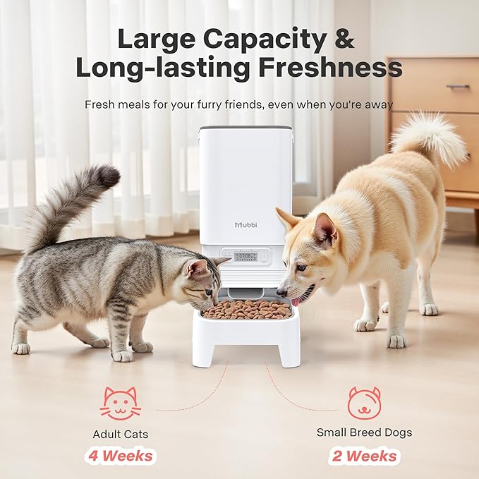 Automatic Cat Feeder, Elevated Automatic Dog Feeder, 7L Cat Food Dispenser, No-Jam, Up to 6 Meals for 2-15 mm Dry Food, Stainless Steel Bowl, No Spinal Pressure, Easy to Clean