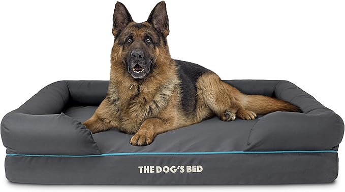 The Dog’s Bed, XL Grey/Blue, Memory Foam, Pain Relief: Arthritis, Hip & Elbow Dysplasia, Post Surgery, Lameness, Supportive, Calming, Waterproof Washable Cover, Veterinary Approved