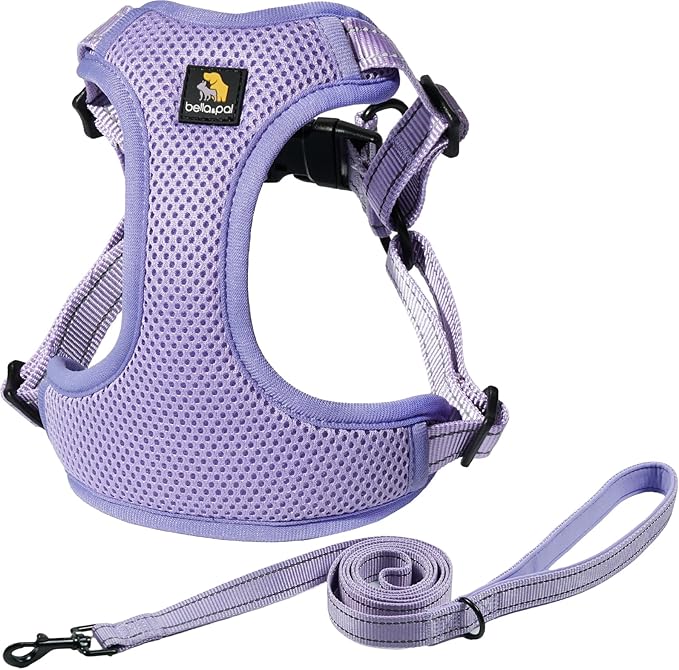 BELLA & PAL Adjustable Step-in Dog Harness, Puppy No-Pull Vest with Leash Set for XS/Small & Medium Dog, Breathable All-Weather Mesh, Reflective Strip, Secure Hook & Loop, Buckle Closure
