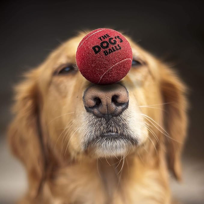 The Dog's Balls, Dog Tennis Ball, Red 12-Pack, Strong Toy for Agility Training, Puppy Training, Play, Exercise & Fetch, 2.5 Inch Diameter