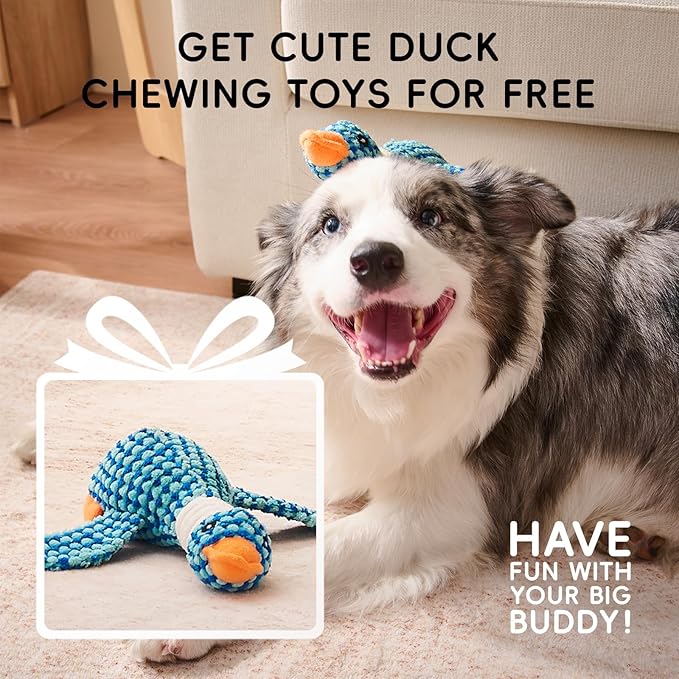 Homemate Dog Bed Large Sized Dog: 42x30 inch Orthopedic Large Dogs Bed XL Outdoor Pet Cat Bed Sofa Supplies with Toy Dogs Crate Pad Couch with Removable Washable Cover & Non-Slip Botton Brown