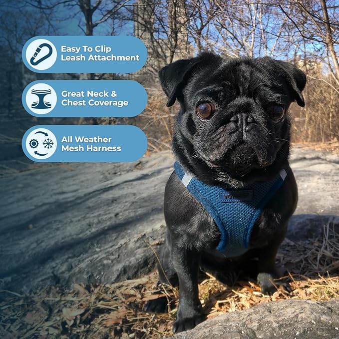 Voyager Step-in Air All Weather Mesh Harness and Reflective Dog 5 ft Leash Combo with Neoprene Handle, for Small, Medium and Large Breed Puppies by Best Pet Supplies - Harness Leash Set (Blue), L