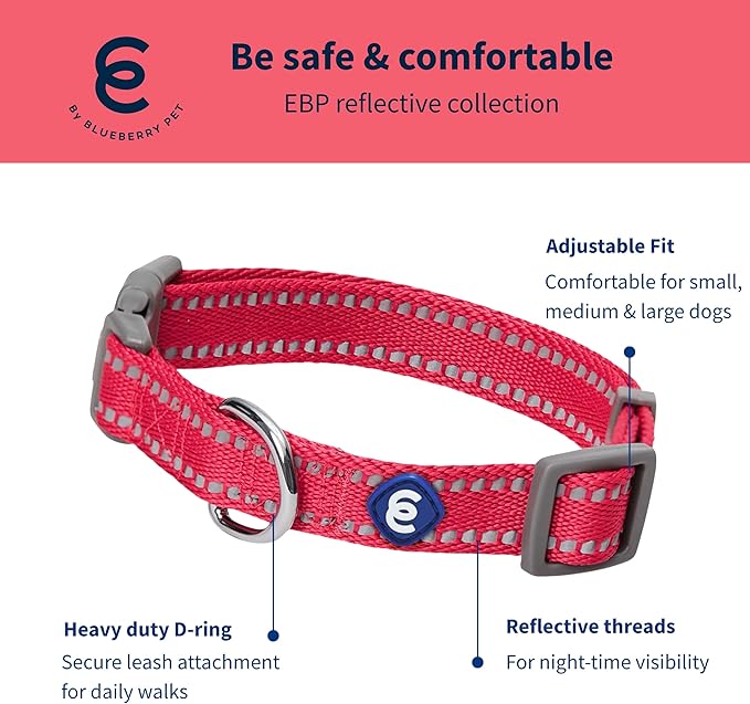 Blueberry Pet Essentials Reflective Dog Collar & Leash Set, Adjustable for Small Dogs | Safe Walking Gear for Pet Parents, Puppy Training & Daily Use SmallDogs, Very Berry