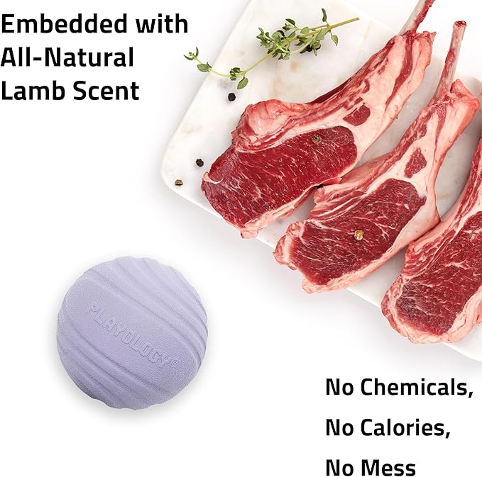 Playology Dog Toys | Dual Layer Ball Durable Chew Toy for Aggressive Chewers | Medium Lamb Scented Toy - Easy to Clean and Made from Non Toxic Materials
