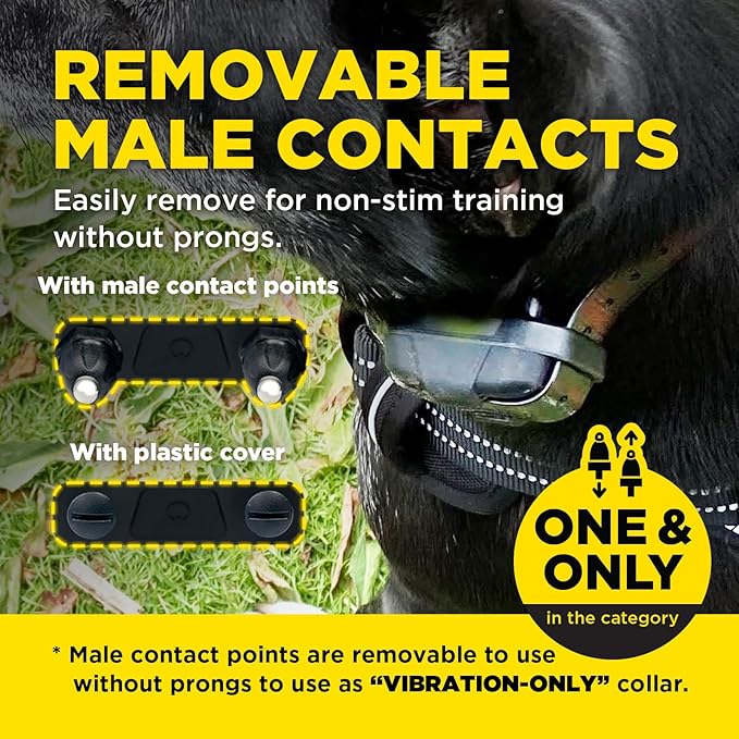 Dogtra 280X E-Collar with Remote [New Edition] 10 lbs+, 1/2 Mile Range, LED Light, 100 Levels of Precise Control for Stubborn Dogs, Waterproof, Boost for Quick Recall, Vibration, Safety Lock & Tone