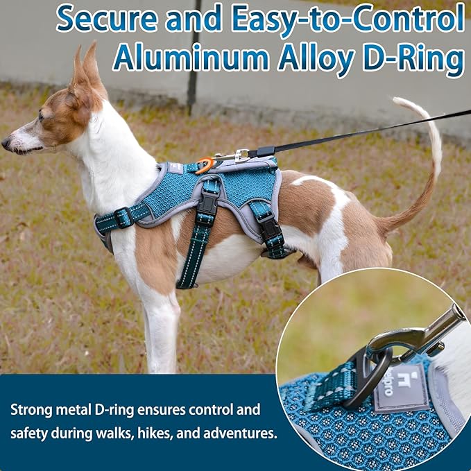 BELPRO Multi-Use Support Dog Harness, Escape Proof No Pull Reflective Adjustable Vest with Durable Handle, Dog Walking Harness for Big/Active Dogs (Blue, S)