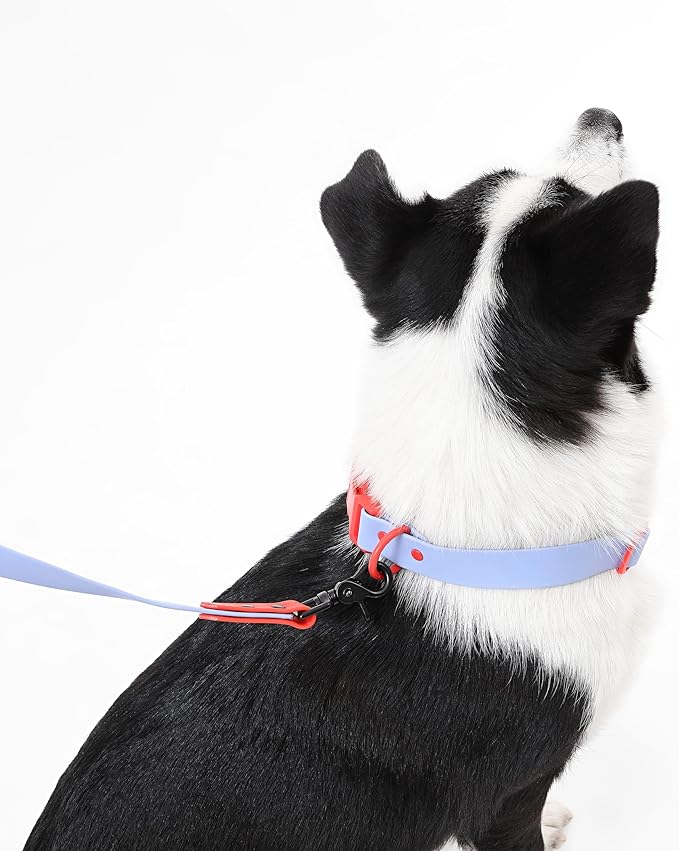 WLK1006E-5SET Luna Large 8FT Adjustable 6-in-1 Waterproof Hands-Free Leash and Collar with LED Flashlight, Bag Dispenser, and Poop Bag Holder, Sangria