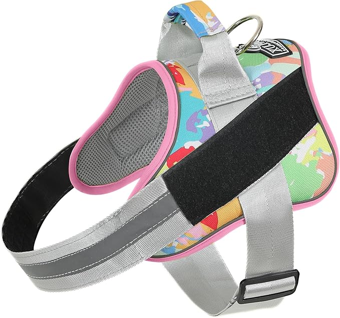 Bolux Dog Harness, No-Pull Reflective Dog Vest, Breathable Adjustable Pet Harness with Handle for Outdoor Walking - No More Pulling, Tugging or Choking (X-Small (Pack of 1), OilPainting)