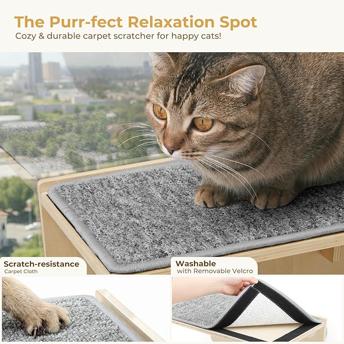 Pecute 2-in-1 Cat Window Perch & Wall Shelves, Cat Hammock Window with Solid Wood, Strong Suction Cup, Washable Cover Mat, Kitten Window Seat Indoor, Cats Perch Bed for Birds Watching Inside,16"x10"
