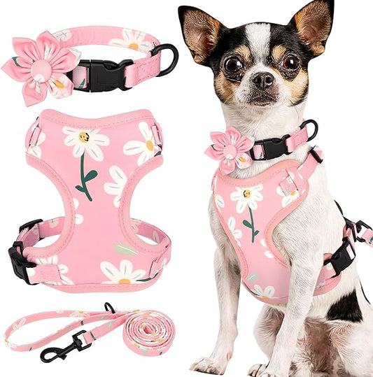 Beirui Cute Girl Dog Collars, Harnesses & Leashes Set - Adjustable Dog Collar and Leash Set with Flower - Soft Mesh Dog Vest Harness for Puppies Small & Extra Small Dogs Cats (Pink-1,XXS)