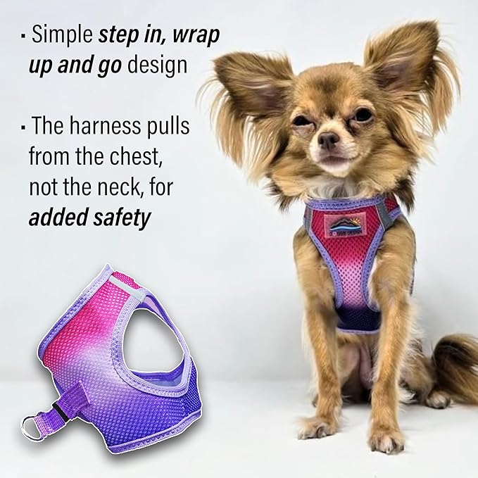 American River Choke-Free Dog Harness - Raspberry Sundae Ombre