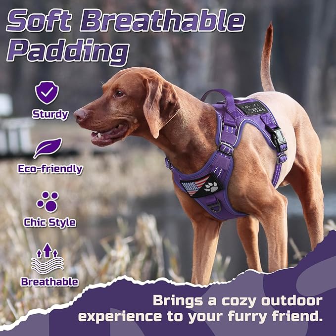 rabbitgoo Tactical Dog Harness for Large Dogs, No Pull Military Service Vest with Handle & Molle, Easy Control for Training Walking, Adjustable Reflective Straps, Purple, L
