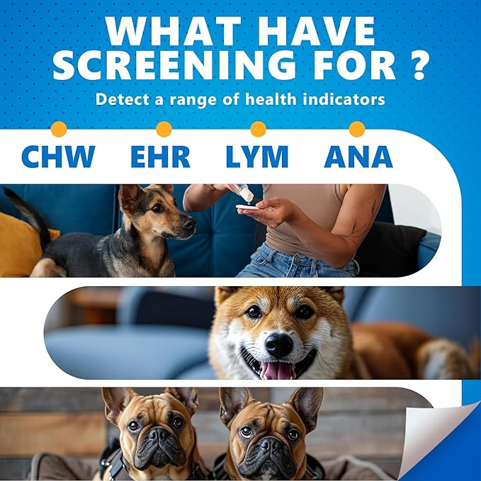 4-in-1 Dog Health Management Card 4-in-1 Canine Health Signal Analyze Common Canine Illnesses Quick and Easy at-Home Testing