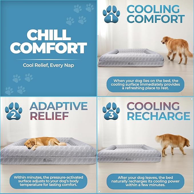 Big Paws Cooling Orthopedic Dog Bed for Large & Senior Dogs – High-Density Memory Foam, Waterproof Liners, Washable Cover, Non-Slip Base, Raised Bolsters – XL Mattress for Joint Relief