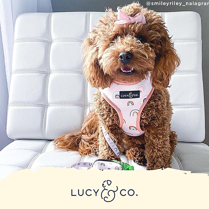 Lucy & Co. in The Clouds, Cute Reversible Dog Harness Walking Halter - Best Designer Pet Harnesses for Medium Dogs - Padded Adjustable Vest for Easy Walking (Medium)