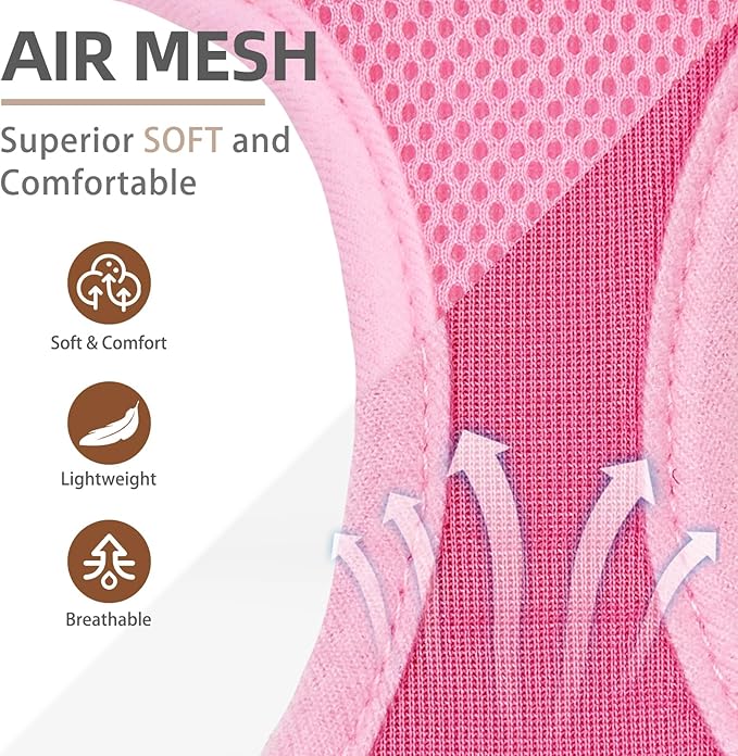 PUPTECK Dog Harness and Leash Set for Small Medium Dogs No Pull Step-in Soft Mesh Puppy Cat Vest Harnesses Reflective at Night, Pink & Blue, M