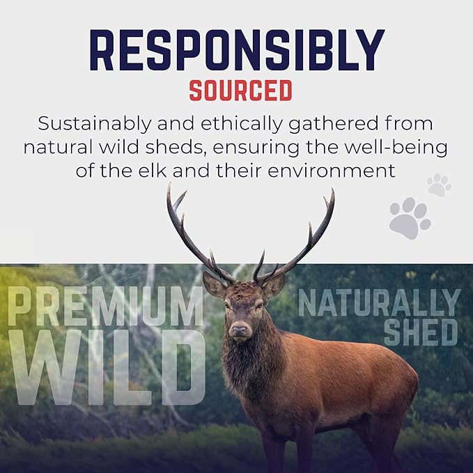 Devil Dog Pet Co. Split Elk Antlers for Dogs, Medium 5"+, 1 Pack, Grade A Long Lasting Chew for Aggressive Chewers, Premium USA Naturally Shed Antler – Healthy, No Odor, Durable Dog Chew