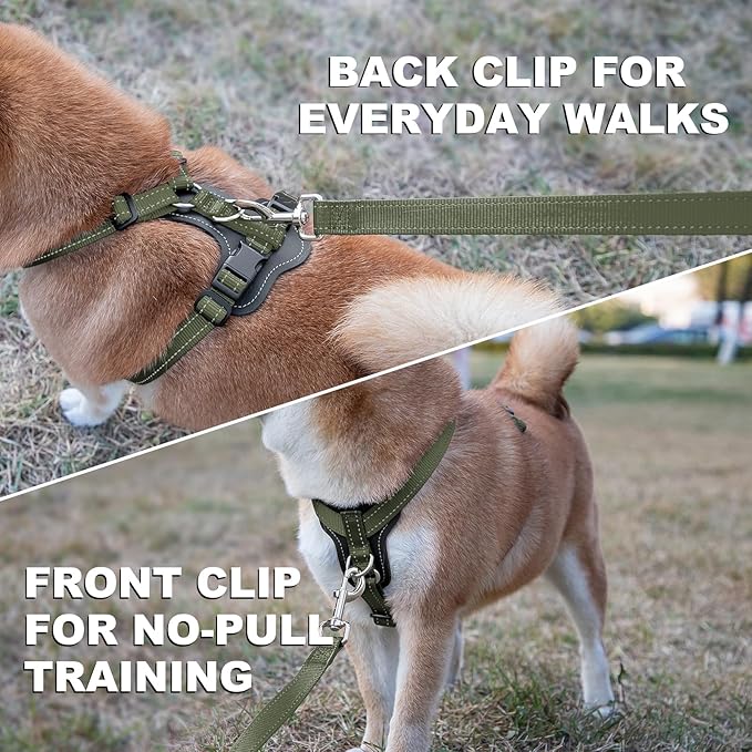 Plutus Pet Adjustable No Pull Dog Harness with Leather Accents, Heavy Duty Reflective Nylon Vest for Training, Hiking, Easy Walk Harness for Small, Medium, Large Dogs (Ranger Green, L)