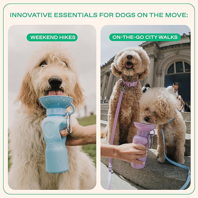 Springer by Springland Dog Water Bottle | Portable Travel Water Bottle Dispenser for Dogs | Dog Gift Seen on Oprah's Favorite Things, Shark Tank | Leak-Proof Bottles | BPA-Free 22oz Indigo