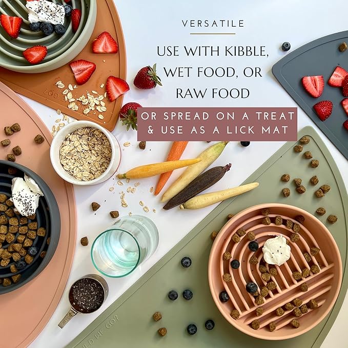 Should We Go? Slow Feeder for Dogs & Puppies, The Slowdown Bowl Silicone Slow Eating, Modern Lick Mat Design, Reduces Gulping, Fits 2.5 Cups 9.5” Across x 1.5” Tall, Mealtime Challenge, Large-Charcoal