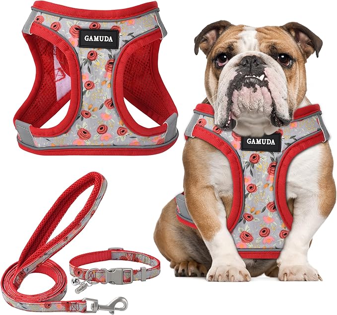 GAMUDA Small Dog Harness Collar and Leash Set, Step in No Chock No Pull Soft Mesh Adjustable Dog Vest Harnesses Plaid Reflective for Dogs Puppy Cats Kitten Rabbit (Red Flower, L)