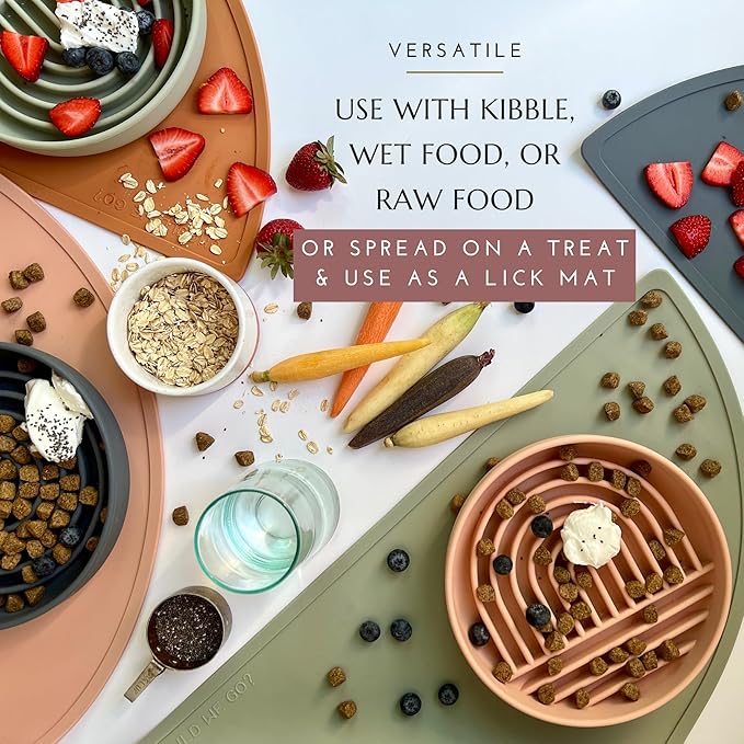 Should We Go? Slow Feeder for Dogs & Cats, The Slowdown Bowl Silicone Slow Eating Mealtime Solution with Modern Lick Mat Design, Reduces Gulping, Fits 1 Cup, 6” Across x 1.25” Tall, Small-Sage