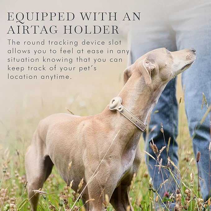 NINA WOOF Cupertino Dog Collars, Harnesses & Leashes Made from Vegan Leather with Dog Tracker Device Holder Adjustable Dog Collar - Color Beige, Large