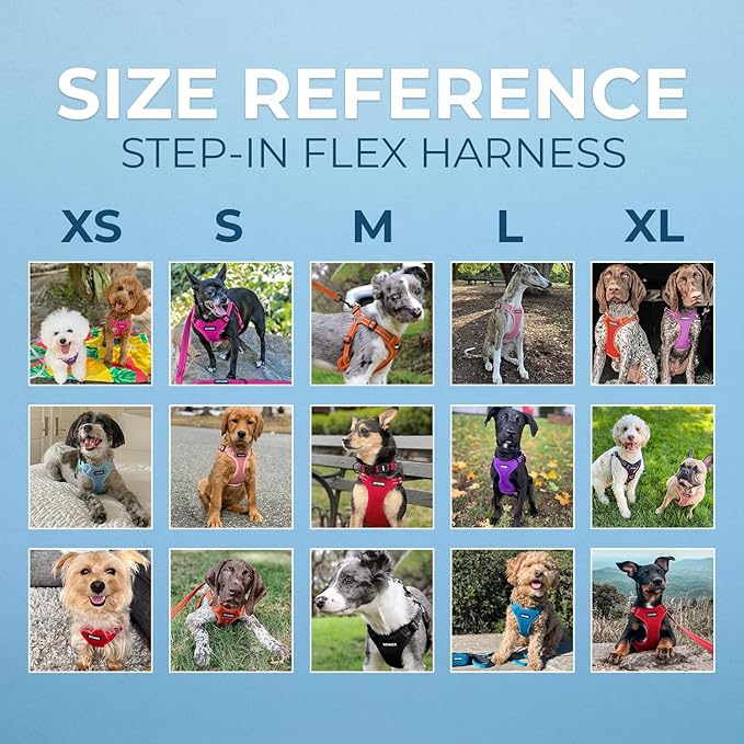 Best Pet Supplies Voyager Mesh Dog Breathable Harness Reflective Stitching, All Weather Adjustable for Walking Training, or Running - Heavy Duty & Durable, Harness (Army/Black Trim), XL