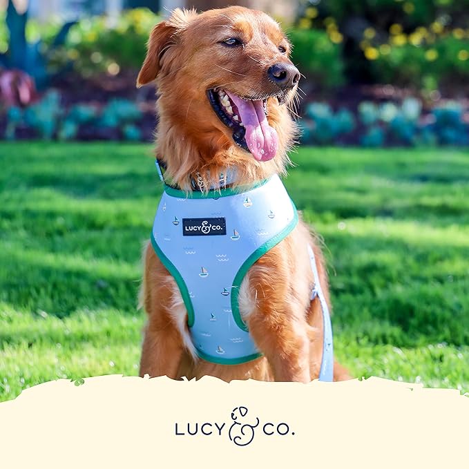 Lucy & Co. Set Sail Reversible Harness, Walking Halter - Best Designer Pet Harnesses for Large Dogs - Padded Adjustable Vest for Easy Walking, Large, Blue & White Stripes & Sailboats