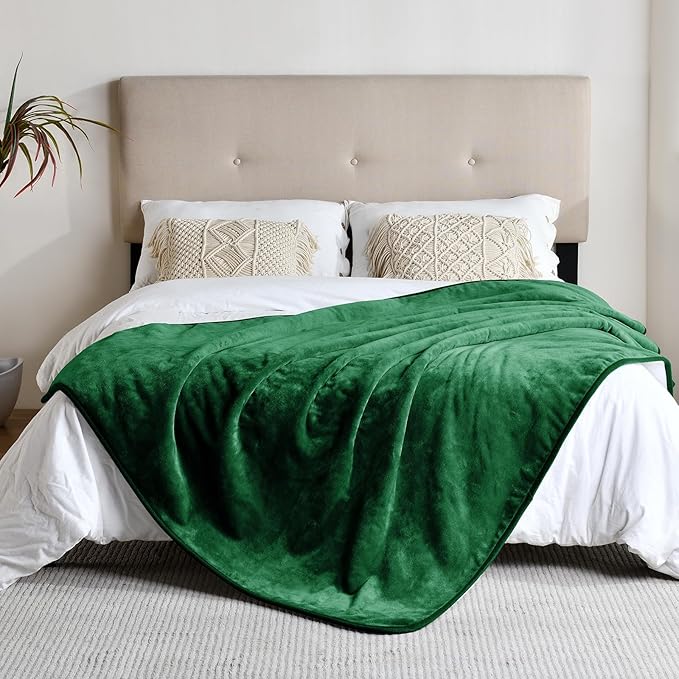 Waterproof Blanket for Bed Couch Sofa, Soft Liquid Pee Proof Pet Blanket for Dog Puppy Cat, Reversible Sherpa Fleece Furniture Protector (Green, 60x80 inches)