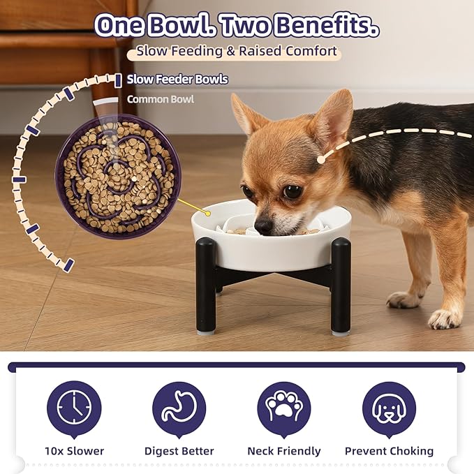 Elevated Slow Feeder Dog Bowl - Ceramic Maze Dog Food Bowl with Stainless Stand - Raised Slow Feeder for Small Breeds to Control Eating Speed - 6.3 Inch - 0.8 Cups (80g) - White