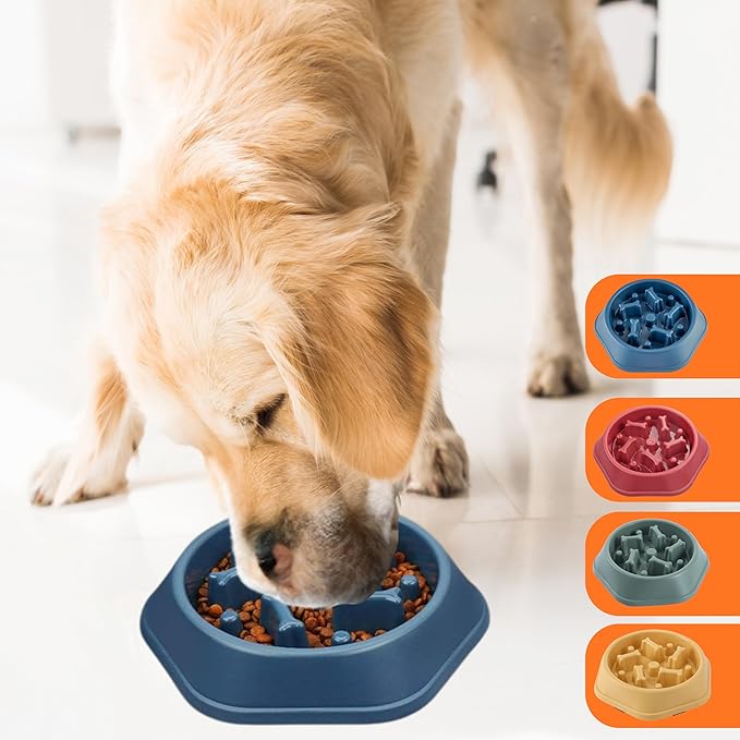2 PCS Slow Feeder Dog Food Bowl – Bowl Designed to Slow Eating, Promotes Healthy Digestion and Prevents Bloat, Ideal for Cats and Dogs (Blue-Blue)