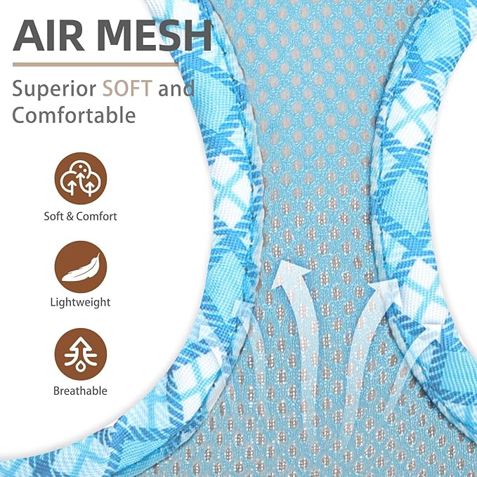 PUPTECK Dog Harness and Leash Set for Small Medium Dogs No Pull Step-in Soft Mesh Puppy Cat Vest Harnesses Reflective at Night, Sky Blue, XS