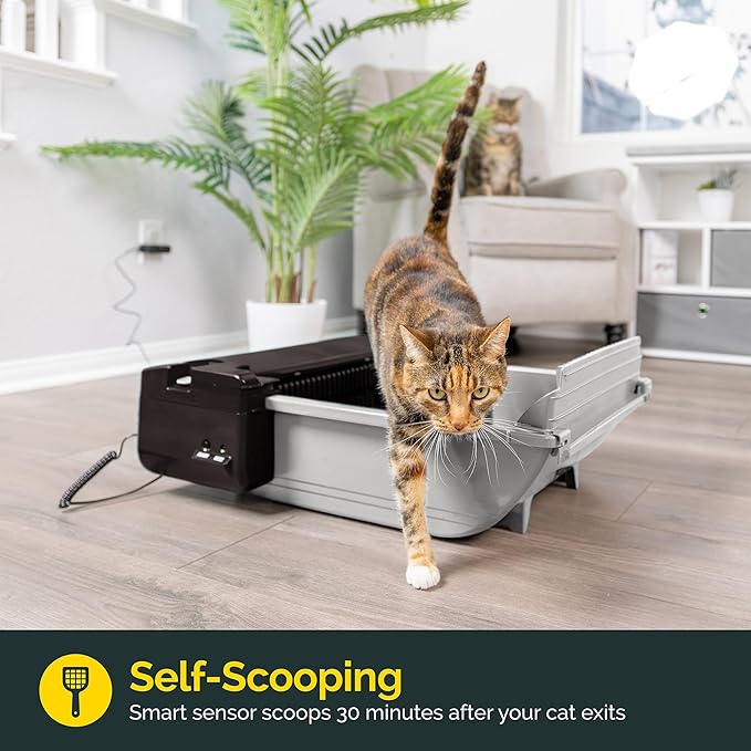 Pet Zone Smart Scoop Litter Box Value Pack, Self Cleaning, Hands-Free Large Litter Box, Easy to Clean