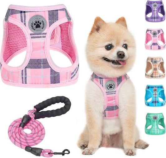 BEAUTYZOO Small Dog Harness and Leash Set,Step in No Choke No Pull Soft Mesh Dog Harnesses Reflective for Extra-Small/Small Medium Puppy Dogs and Cats, Plaid Dog Vest Harness for XS S Pets, Pink XXS
