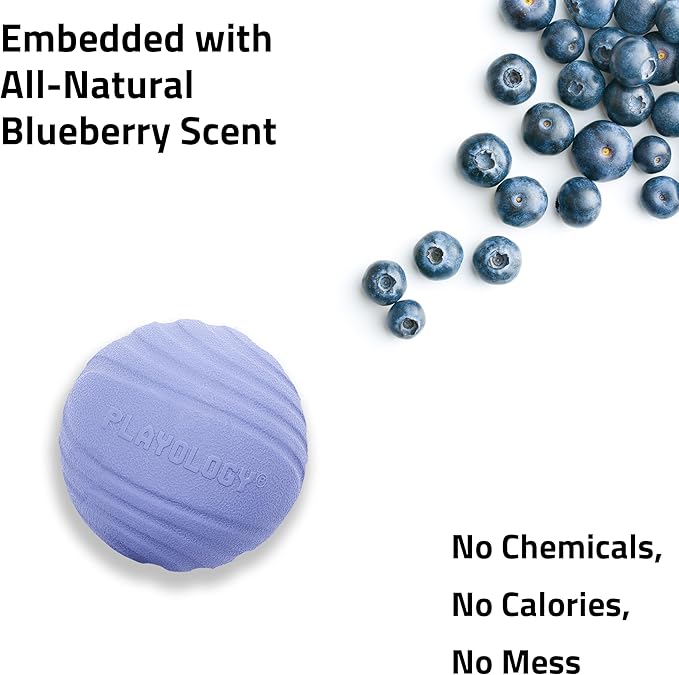 Playology Dog Toys | Dual Layer Ball Durable Chew Toy for Aggressive Chewers | Jumbo Blueberry Scented Toy - Easy to Clean and Made from Non Toxic Materials