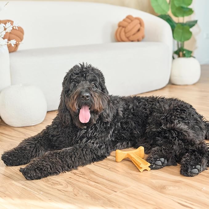 SPOT Bam-Bones Plus T Bone - Bamboo Fiber & Nylon, Durable Long Lasting Dog Chew for Aggressive Chewers – Toy for Dogs & Puppies Under 90lbs, Non-Splintering, 7in, Allergen Free Peanut Butter Flavor