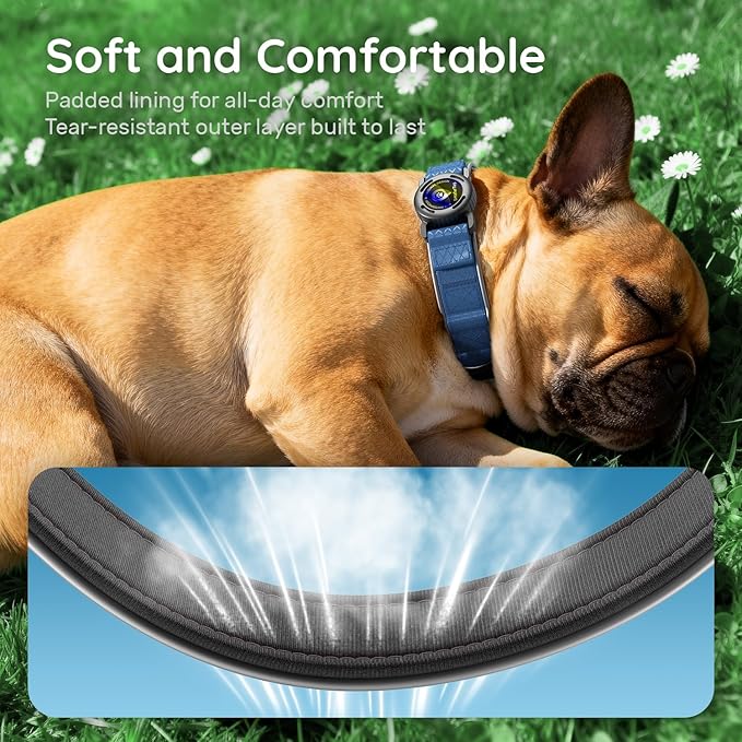 AirTag Dog Collar with QR Code ID & Waterproof Holder - Reflective, Durable Padded Oxford Collar Compatible with Apple AirTags for Small Puppy Dogs (Blue, S)