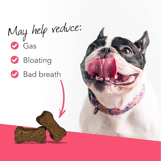 VetriScience Gut Health Chews, Probiotic Everyday Digestive Supplement for Dogs, Pet Probiotics for Digestion Support, Gas and Diarrhea, Immune Support, 1 Billion CFU Per Chew, Duck, 45 Count