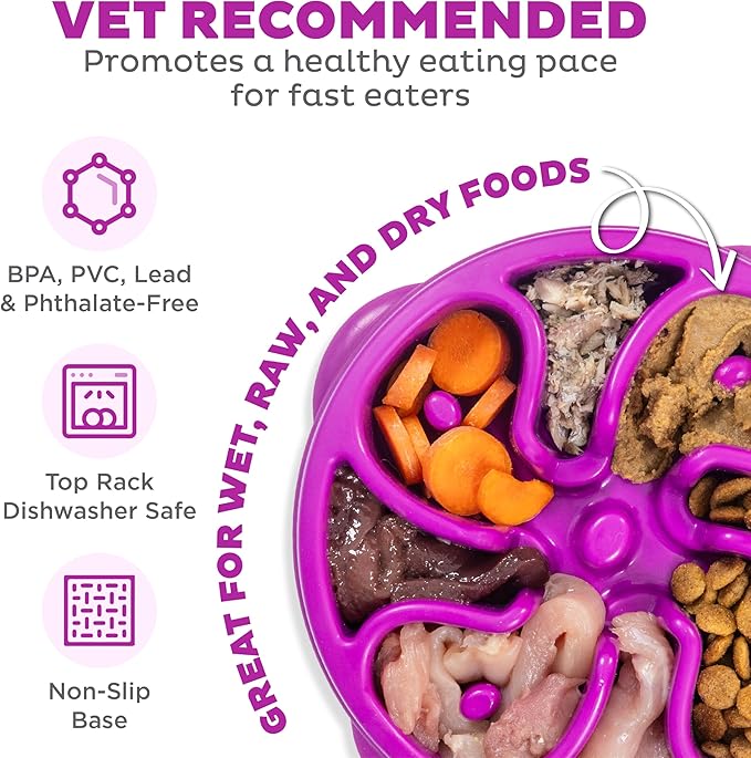 Outward Hound Medium Slow Feeder Bowl, Puzzle Maze for Fast Eaters, Small to Medium Dogs, Helps Prevent Bloat & Aid Digestion, Holds 2 Cups Wet or Dry Food, Non-Slip, Made Without BPA, Purple