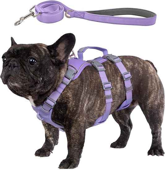Escape Proof Dog Harness and Leash Set, Lightweight Dog Harness with Lift and Assist Handle, No Pull Reflective Pet Vest for Small Medium Dogs, Ideal for Puppy Walking and Training (Purple, M)