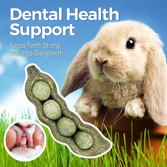 TEEWY 3PCS Guinea Pig Chew Toys, Prevent Teeth Overgrowth, Natural Vegetables and Timothy Grass, Hamster Chew Toys, Guinea Pig Toys, Chinchilla Toys, Peapod-Shaped