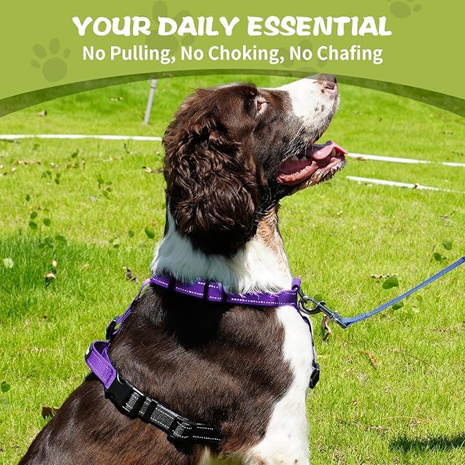 No-Pull Harness,Y-Shaped Design,Buckle-Neck Balance Harness with Reflective Stitching, Ideal for Dog Training and Night Walking, Padded Handle, Durable High-Tensile Nylon-Purple-S